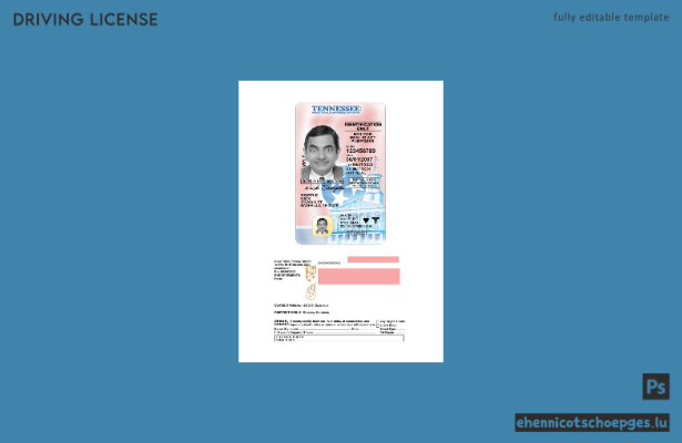 USA Tennessee Führerschein für Personen unter 21 Jahren (2024-heute) – Beispielvorschau